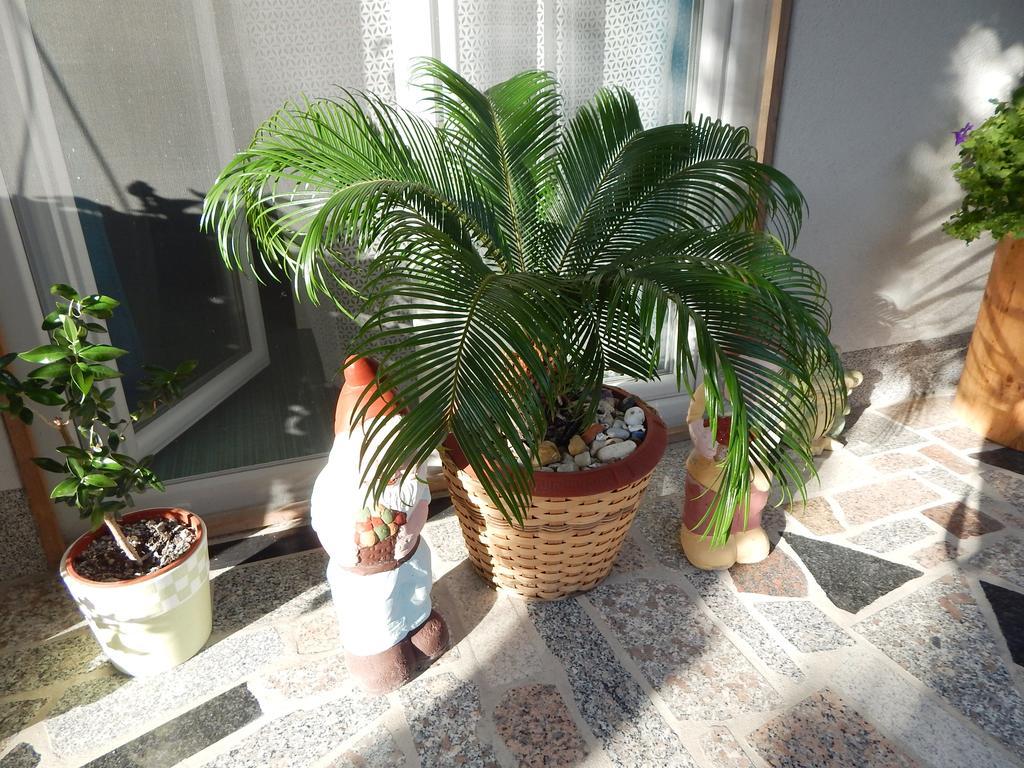 & Marinka Apartma Zadar